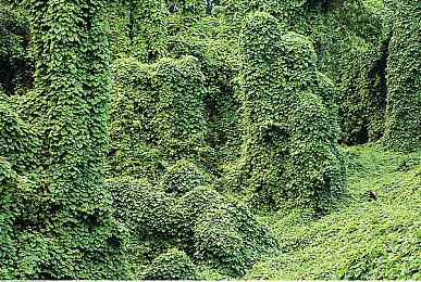 爆料称《星空》移植PS5的决定已敲定 只等厂商官宣